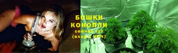 2c-b Белокуриха