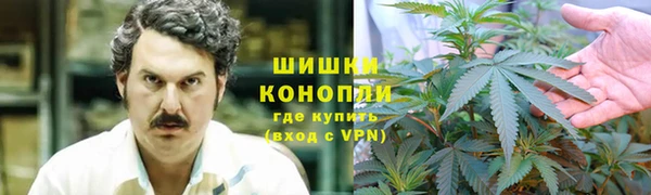 2c-b Белокуриха