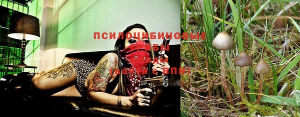 МДПВ Белоозёрский