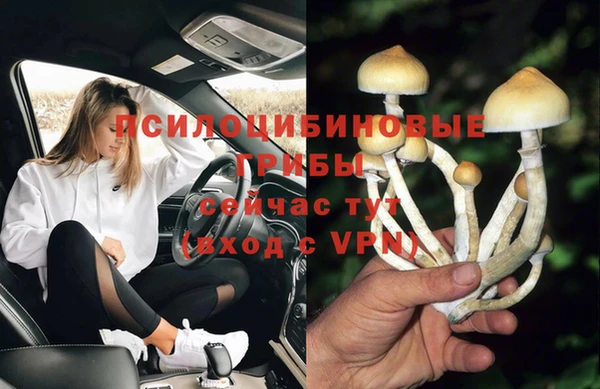 2c-b Белокуриха