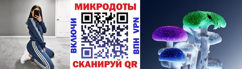 Галлюциногенные грибы Psilocybine cubensis  Вольск 